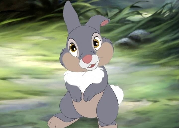 Photo de Panpan jeune