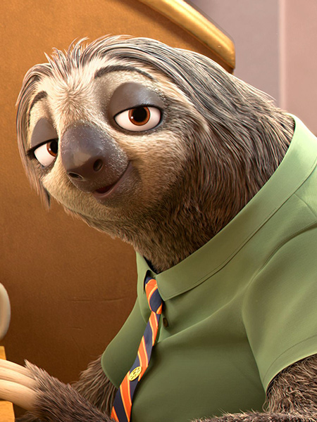 Photo de Flash, le paresseux