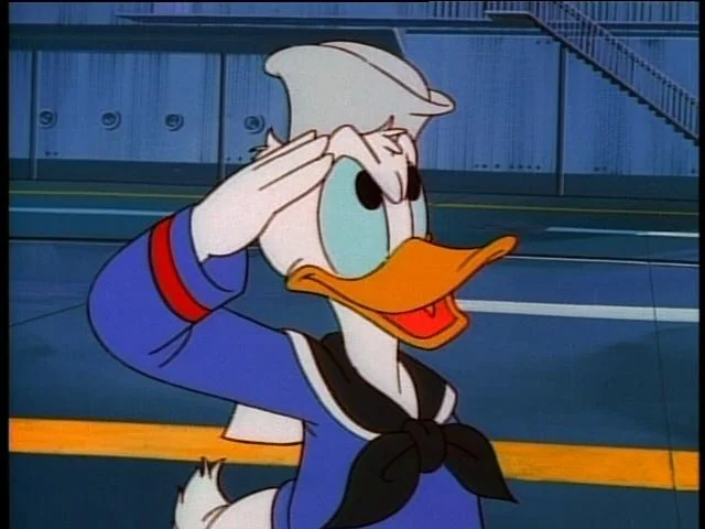 Photo de Donald Duck