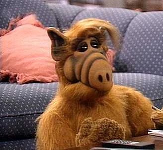 Alf